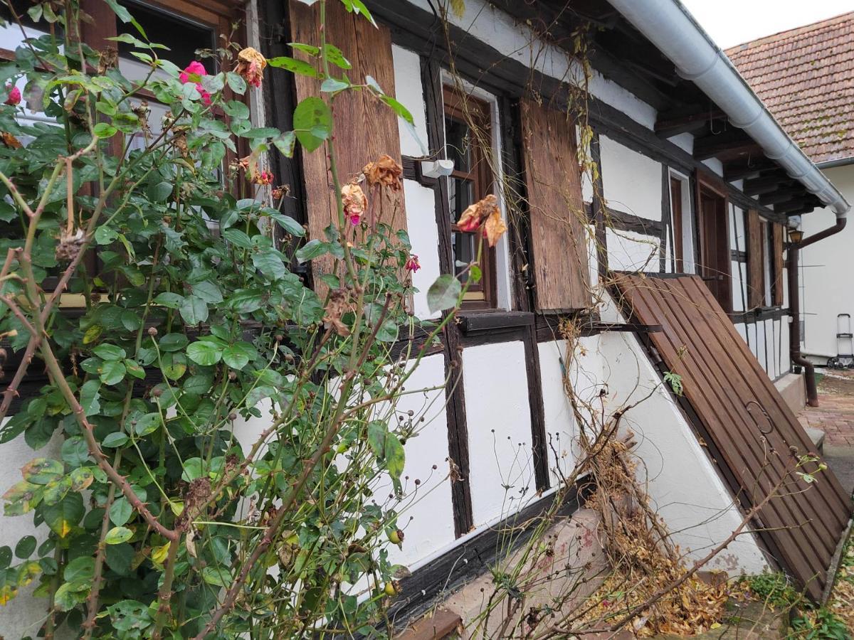 Petite Maison Alsacienne Entzheim Zewnętrze zdjęcie
